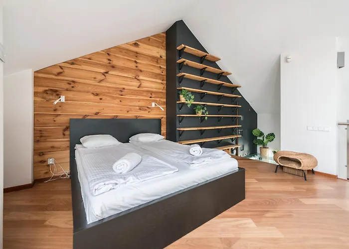 Kamienica Sopocka By Northside *